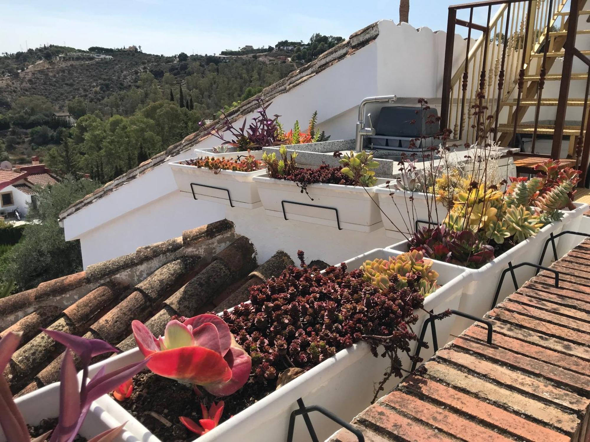 Studio Views Apartment, Cortijo Fruitful Hills Málaga Kültér fotó